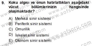 Çocuk Ruh Sağlığı Dersi 2013 - 2014 Yılı (Vize) Ara Sınav Soruları 9. Soru