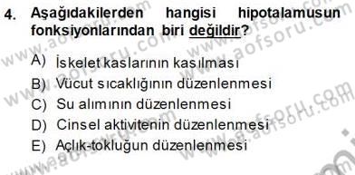 Çocuk Ruh Sağlığı Dersi 2013 - 2014 Yılı (Final) Dönem Sonu Sınav Soruları 4. Soru