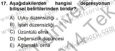 Çocuk Ruh Sağlığı Dersi 2013 - 2014 Yılı Tek Ders Sınav Soruları 17. Soru