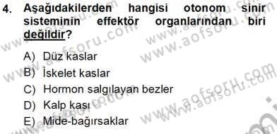 Çocuk Ruh Sağlığı Dersi 2013 - 2014 Yılı Tek Ders Sınav Soruları 4. Soru