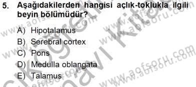 Çocuk Ruh Sağlığı Dersi 2013 - 2014 Yılı Tek Ders Sınav Soruları 5. Soru