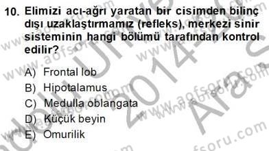 Çocuk Ruh Sağlığı Dersi Ara Sınavı Deneme Sınav Soruları 10. Soru