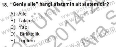 Çocuk Ruh Sağlığı Dersi Ara Sınavı Deneme Sınav Soruları 18. Soru