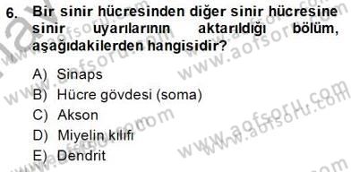 Çocuk Ruh Sağlığı Dersi Ara Sınavı Deneme Sınav Soruları 6. Soru