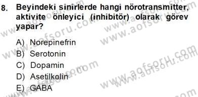 Çocuk Ruh Sağlığı Dersi Ara Sınavı Deneme Sınav Soruları 8. Soru