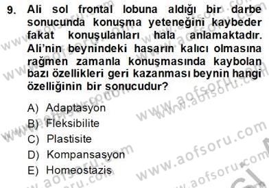 Çocuk Ruh Sağlığı Dersi Ara Sınavı Deneme Sınav Soruları 9. Soru