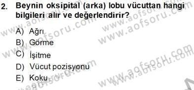 Çocuk Ruh Sağlığı Dersi 2014 - 2015 Yılı (Final) Dönem Sonu Sınav Soruları 2. Soru