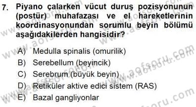 Çocuk Ruh Sağlığı Dersi 2015 - 2016 Yılı (Vize) Ara Sınav Soruları 7. Soru