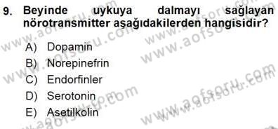 Çocuk Ruh Sağlığı Dersi 2015 - 2016 Yılı (Vize) Ara Sınav Soruları 9. Soru