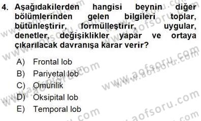 Çocuk Ruh Sağlığı Dersi 2015 - 2016 Yılı (Final) Dönem Sonu Sınav Soruları 4. Soru