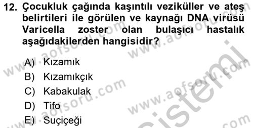 Halk Sağlığı Dersi 2016 - 2017 Yılı (Vize) Ara Sınav Soruları 12. Soru