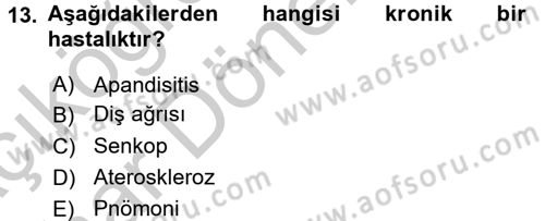 Halk Sağlığı Dersi 2016 - 2017 Yılı (Vize) Ara Sınav Soruları 13. Soru