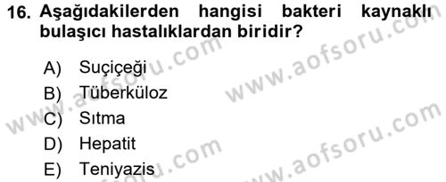 Halk Sağlığı Dersi 2016 - 2017 Yılı (Vize) Ara Sınav Soruları 16. Soru
