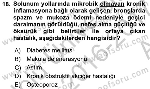 Halk Sağlığı Dersi 2016 - 2017 Yılı (Vize) Ara Sınav Soruları 18. Soru