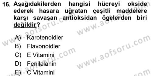 Halk Sağlığı Dersi 2016 - 2017 Yılı (Final) Dönem Sonu Sınav Soruları 16. Soru