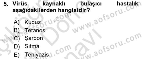 Halk Sağlığı Dersi 2016 - 2017 Yılı (Final) Dönem Sonu Sınav Soruları 5. Soru