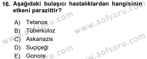 Halk Sağlığı Dersi 2017 - 2018 Yılı (Vize) Ara Sınav Soruları 16. Soru