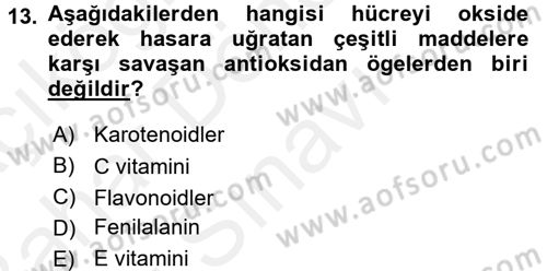 Halk Sağlığı Dersi 2017 - 2018 Yılı (Final) Dönem Sonu Sınav Soruları 13. Soru