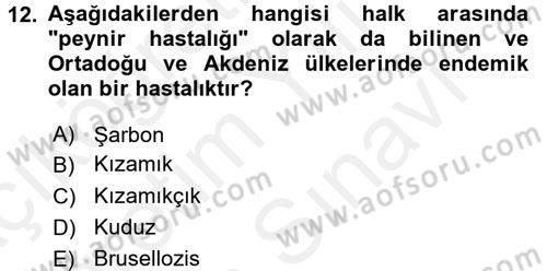 Halk Sağlığı Dersi 2018 - 2019 Yılı (Vize) Ara Sınav Soruları 12. Soru