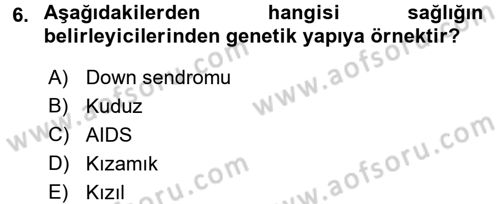 Halk Sağlığı Dersi 2018 - 2019 Yılı (Vize) Ara Sınav Soruları 6. Soru