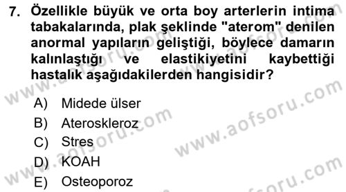 Halk Sağlığı Dersi 2018 - 2019 Yılı (Vize) Ara Sınav Soruları 7. Soru