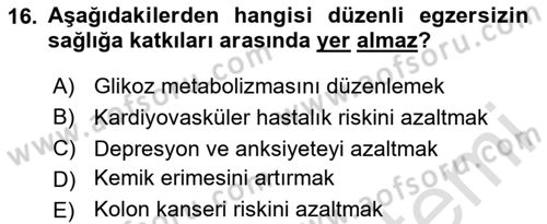 Halk Sağlığı Dersi 2024 - 2025 Yılı Yaz Okulu Sınav Soruları 16. Soru