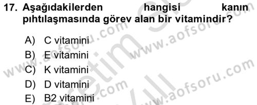 Halk Sağlığı Dersi 2024 - 2025 Yılı Yaz Okulu Sınav Soruları 17. Soru