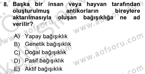 Halk Sağlığı Dersi 2024 - 2025 Yılı Yaz Okulu Sınav Soruları 8. Soru