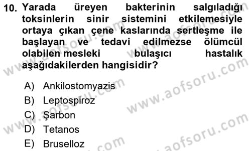 Halk Sağlığı Dersi 2025 - 2026 Yılı Yaz Okulu Sınav Soruları 10. Soru