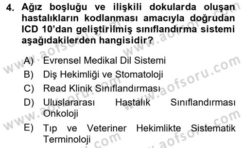 Tıbbi Belgeleme Dersi 2024 - 2025 Yılı (Final) Dönem Sonu Sınav Soruları 4. Soru