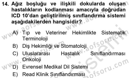 Tıbbi Belgeleme Dersi 2024 - 2025 Yılı Yaz Okulu Sınav Soruları 14. Soru