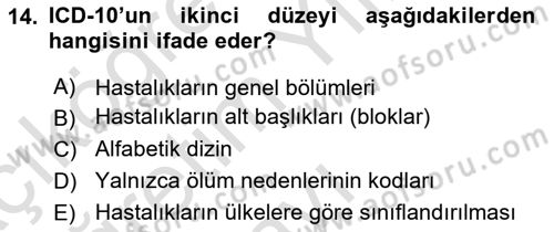 Tıbbi Belgeleme Dersi 2025 - 2026 Yılı Yaz Okulu Sınav Soruları 14. Soru