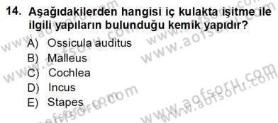 Tıp Terimleri Dersi Ara Sınavı Deneme Sınav Soruları 14. Soru