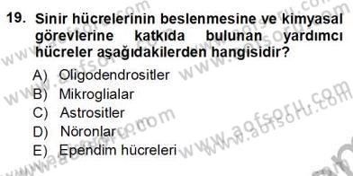 Tıp Terimleri Dersi 2012 - 2013 Yılı (Vize) Ara Sınav Soruları 19. Soru