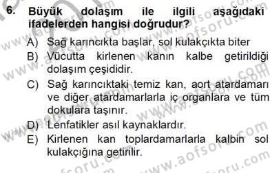 Tıp Terimleri Dersi Ara Sınavı Deneme Sınav Soruları 6. Soru