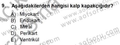 Tıp Terimleri Dersi 2012 - 2013 Yılı (Vize) Ara Sınav Soruları 9. Soru