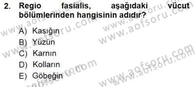 Tıp Terimleri Dersi 2012 - 2013 Yılı (Final) Dönem Sonu Sınav Soruları 2. Soru