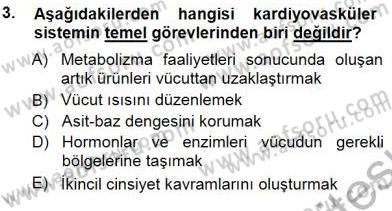 Tıp Terimleri Dersi 2012 - 2013 Yılı (Final) Dönem Sonu Sınav Soruları 3. Soru