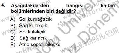 Tıp Terimleri Dersi 2012 - 2013 Yılı (Final) Dönem Sonu Sınav Soruları 4. Soru