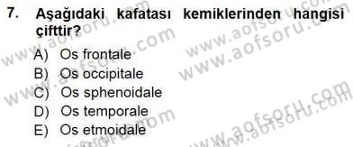 Tıp Terimleri Dersi 2012 - 2013 Yılı (Final) Dönem Sonu Sınav Soruları 7. Soru