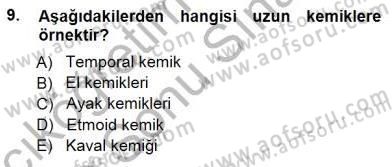 Tıp Terimleri Dersi 2012 - 2013 Yılı (Final) Dönem Sonu Sınav Soruları 9. Soru