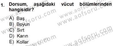 Tıp Terimleri Dersi Ara Sınavı Deneme Sınav Soruları 1. Soru