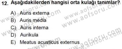 Tıp Terimleri Dersi Ara Sınavı Deneme Sınav Soruları 12. Soru