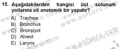 Tıp Terimleri Dersi 2013 - 2014 Yılı (Vize) Ara Sınav Soruları 15. Soru