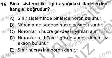 Tıp Terimleri Dersi 2013 - 2014 Yılı (Vize) Ara Sınav Soruları 16. Soru