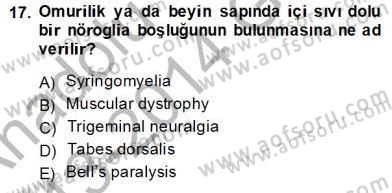 Tıp Terimleri Dersi Ara Sınavı Deneme Sınav Soruları 17. Soru