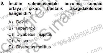 Tıp Terimleri Dersi Ara Sınavı Deneme Sınav Soruları 9. Soru