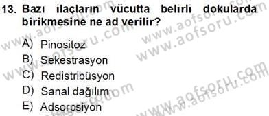 Tıp Terimleri Dersi 2013 - 2014 Yılı Tek Ders Sınav Soruları 13. Soru