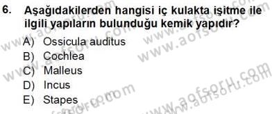 Tıp Terimleri Dersi 2013 - 2014 Yılı Tek Ders Sınav Soruları 6. Soru