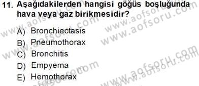 Tıp Terimleri Dersi 2014 - 2015 Yılı (Vize) Ara Sınavı 11. Soru